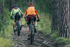 Zwei Mountainbiker im Wald