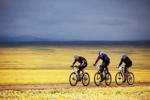 Drei Mountainbiker auf offenen Feld